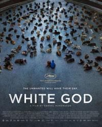 White God